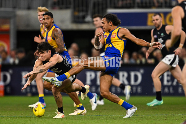 AFL Rd 7 - West Coast v Carlton - A-1363809