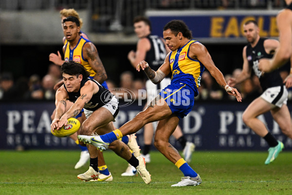 AFL Rd 7 - West Coast v Carlton - A-1363822