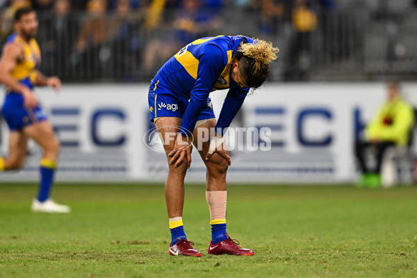 AFL Rd 7 - West Coast v Carlton - A-1365578