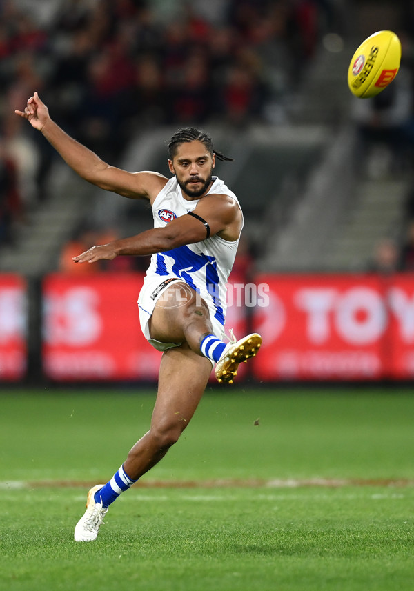 AFL Rd 7 - Melbourne v North Melbourne - A-1365593
