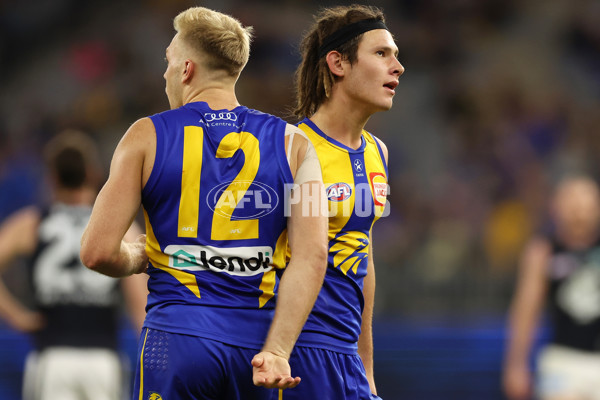 AFL Rd 7 - West Coast v Carlton - A-1368675