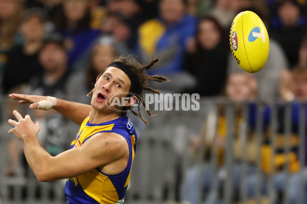 AFL Rd 7 - West Coast v Carlton - A-1368676