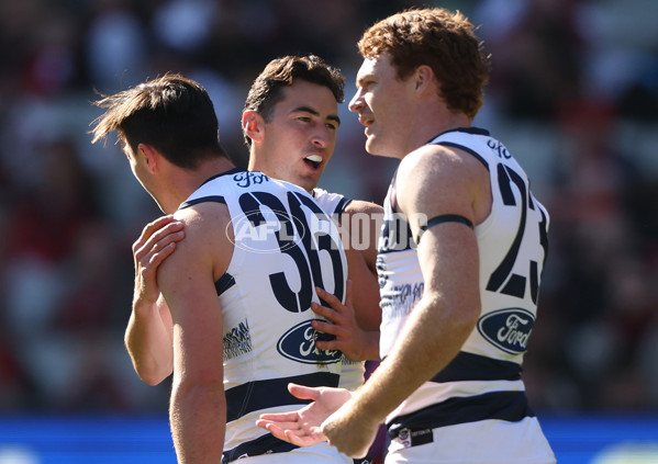 AFL Rd 7 - Essendon v Geelong - A-1378817