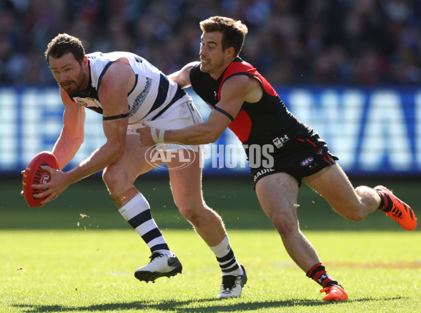 AFL Rd 7 - Essendon v Geelong - A-1378818