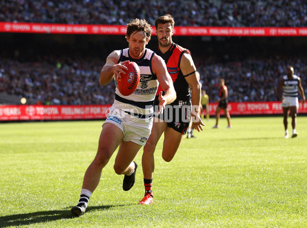 AFL Rd 7 - Essendon v Geelong - A-1378825