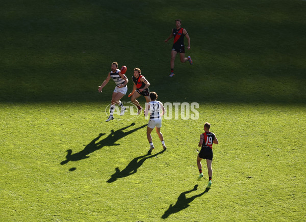 AFL Rd 7 - Essendon v Geelong - A-1378849