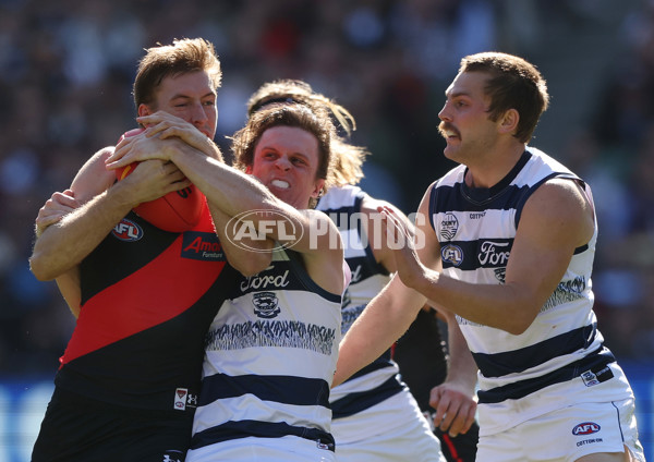 AFL Rd 7 - Essendon v Geelong - A-1380468