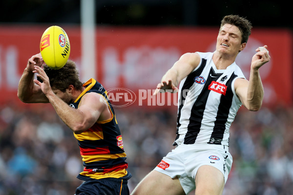 AFL Rd 7 - Adelaide v Collingwood - A-1385215