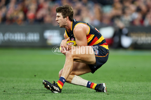 AFL Rd 7 - Adelaide v Collingwood - A-1385253