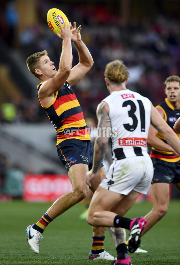 AFL Rd 7 - Adelaide v Collingwood - A-1385274