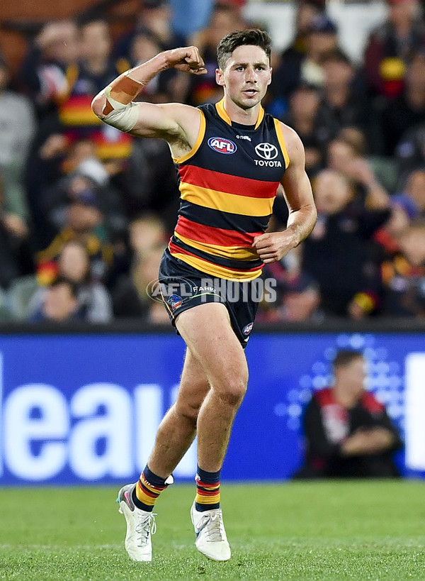 AFL Rd 7 - Adelaide v Collingwood - A-1387185