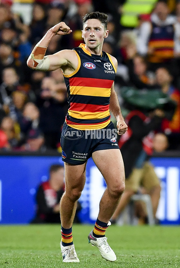 AFL Rd 7 - Adelaide v Collingwood - A-1387189