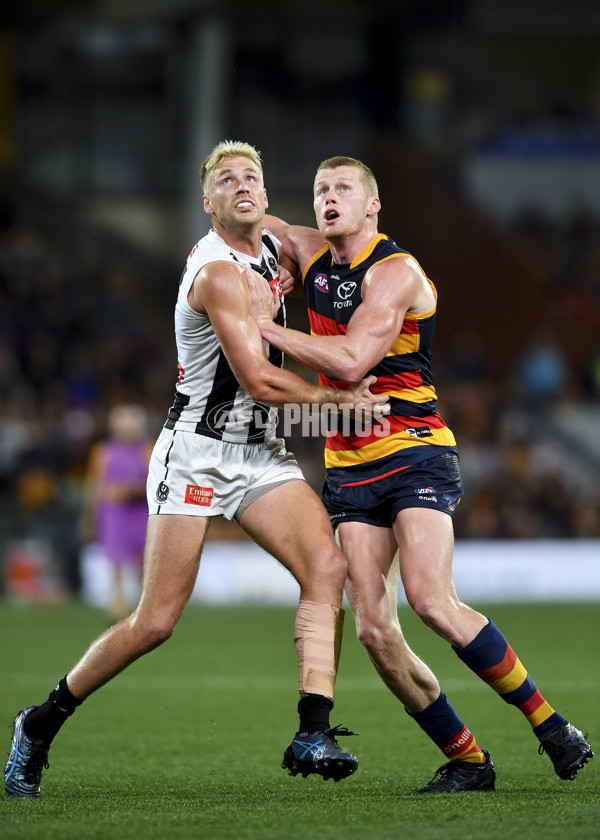 AFL Rd 7 - Adelaide v Collingwood - A-1387190