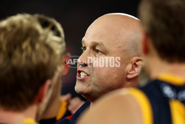 AFL Rd 7 - Adelaide v Collingwood - A-1387192