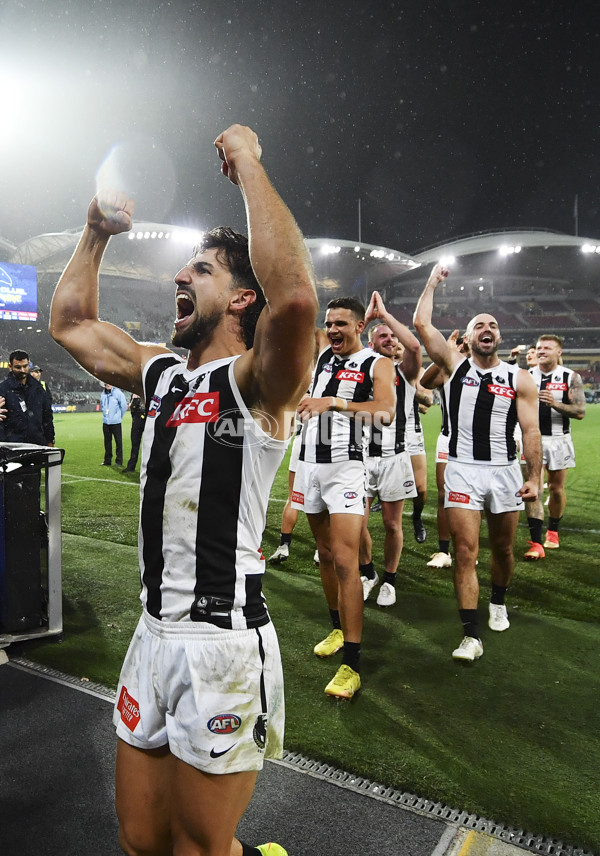 AFL Rd 7 - Adelaide v Collingwood - A-1387215