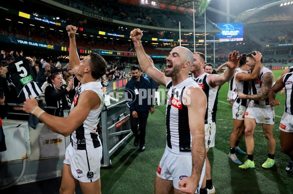 AFL Rd 7 - Adelaide v Collingwood - A-1387222