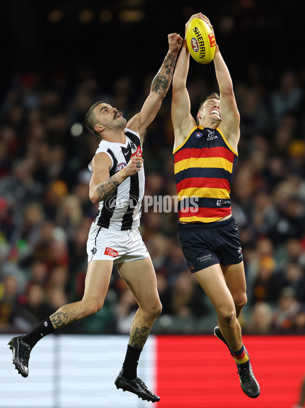 AFL Rd 7 - Adelaide v Collingwood - A-1388176
