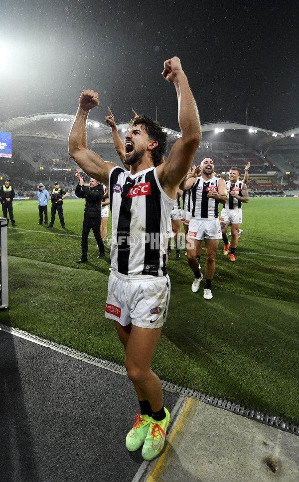AFL Rd 7 - Adelaide v Collingwood - A-1388198