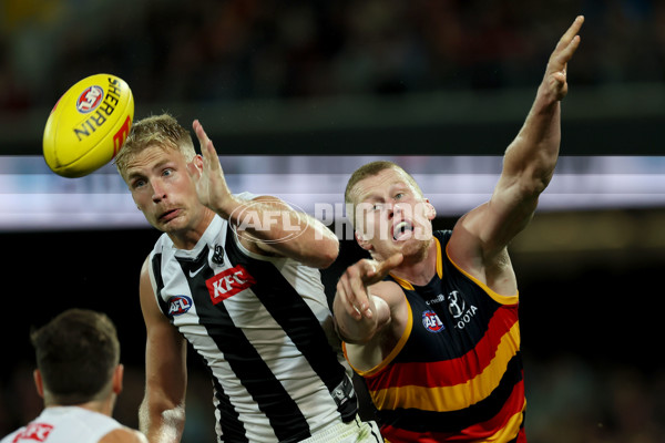 AFL Rd 7 - Adelaide v Collingwood - A-1388217