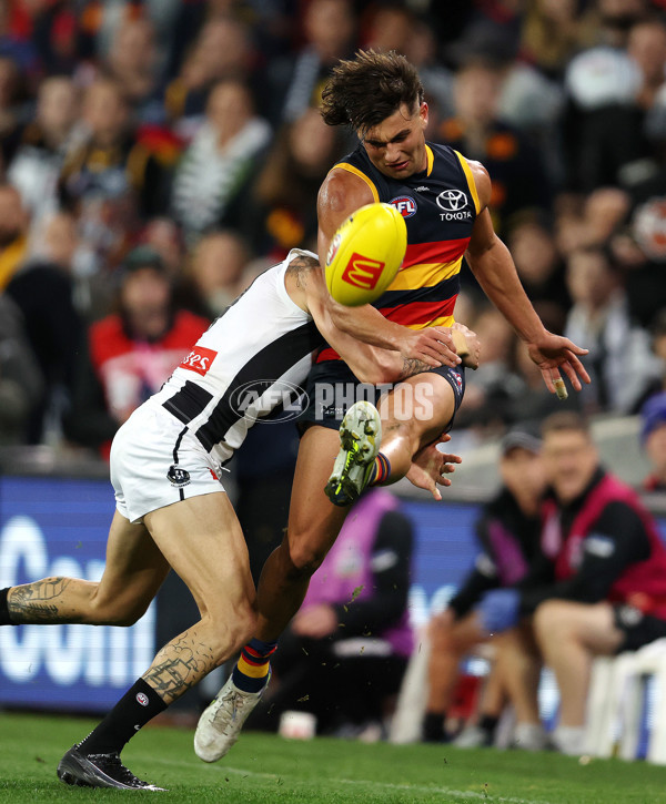 AFL Rd 7 - Adelaide v Collingwood - A-1388237