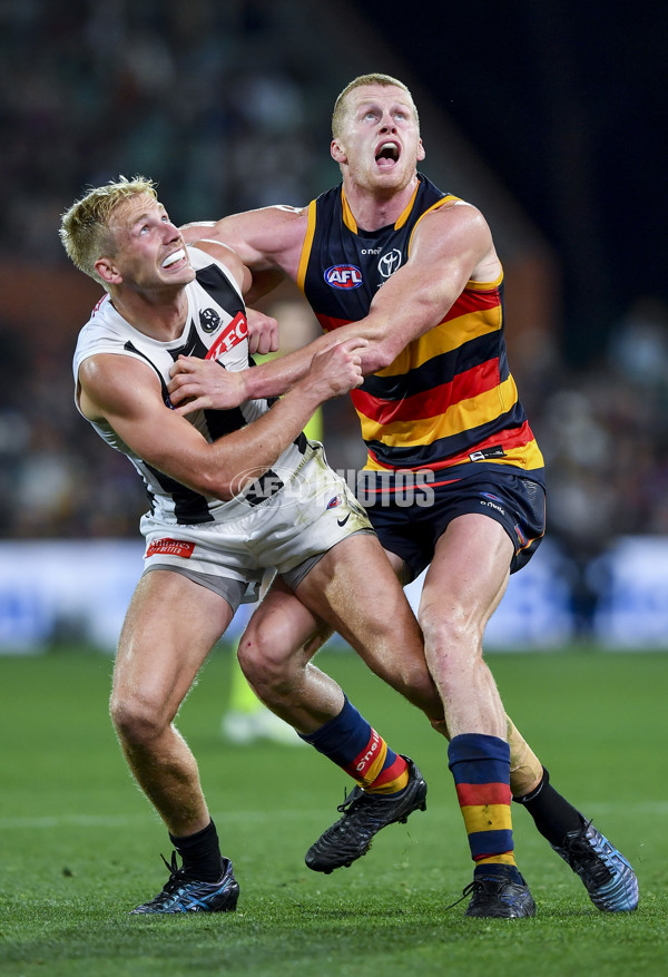 AFL Rd 7 - Adelaide v Collingwood - A-1390214