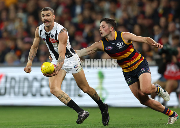 AFL Rd 7 - Adelaide v Collingwood - A-1390230