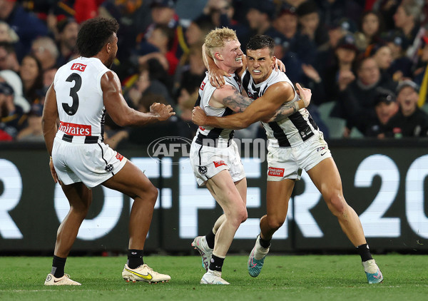 AFL Rd 7 - Adelaide v Collingwood - A-1391378