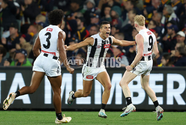 AFL Rd 7 - Adelaide v Collingwood - A-1391379