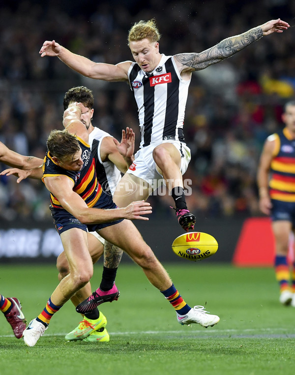 AFL Rd 7 - Adelaide v Collingwood - A-1391387