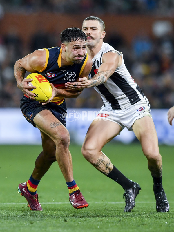 AFL Rd 7 - Adelaide v Collingwood - A-1391428