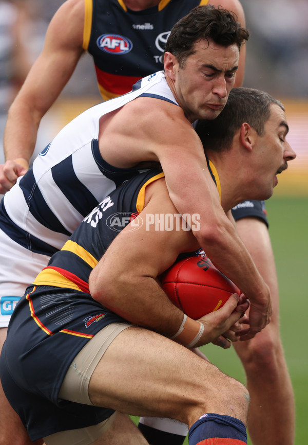 AFL Rd 8 - Geelong v Adelaide - A-1410227