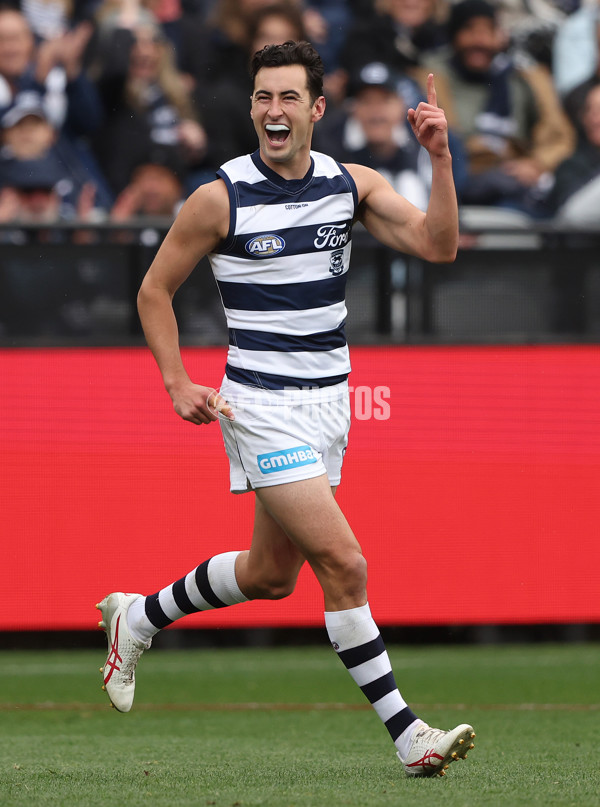 AFL Rd 8 - Geelong v Adelaide - A-1410229