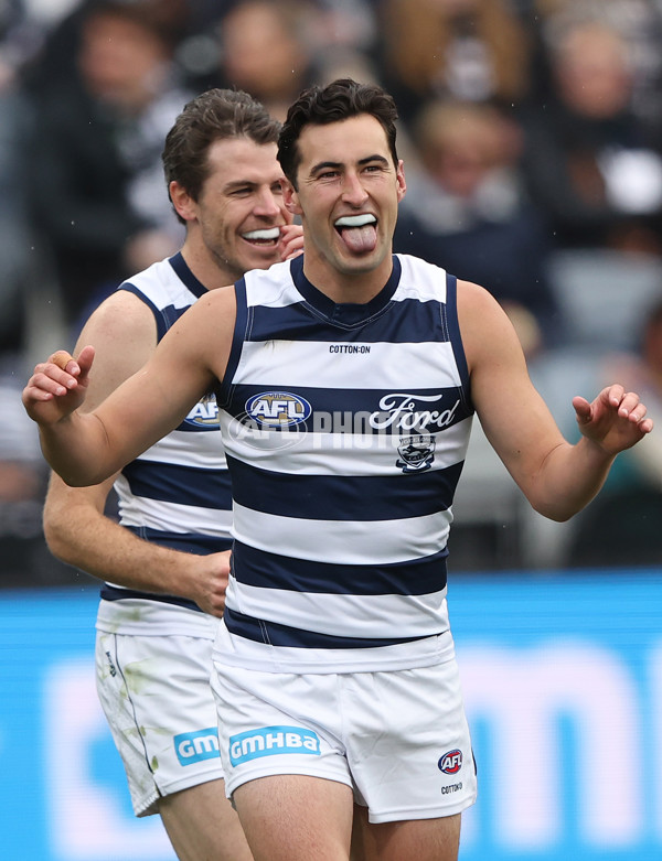 AFL Rd 8 - Geelong v Adelaide - A-1410230