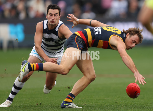 AFL Rd 8 - Geelong v Adelaide - A-1410247