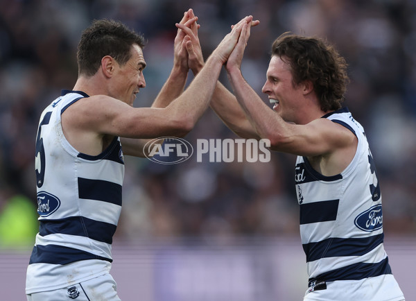 AFL Rd 8 - Geelong v Adelaide - A-1417137