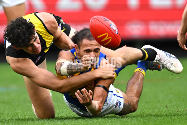 AFL Rd 8 - Richmond v West Coast - A-1417184