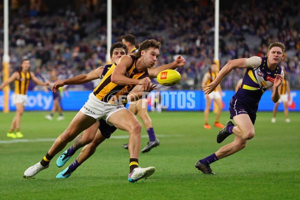 AFL Rd 8 - Fremantle v Hawthorn - A-1428671