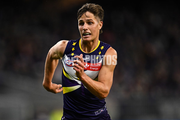 AFL Rd 8 - Fremantle v Hawthorn - A-1428724
