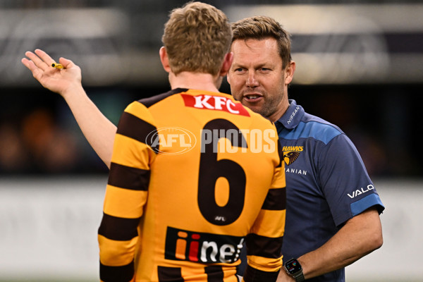 AFL Rd 8 - Fremantle v Hawthorn - A-1428731
