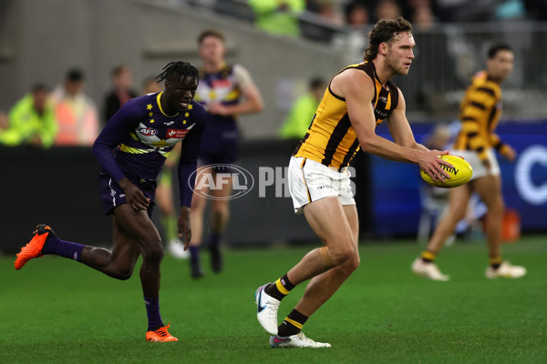 AFL Rd 8 - Fremantle v Hawthorn - A-1430361