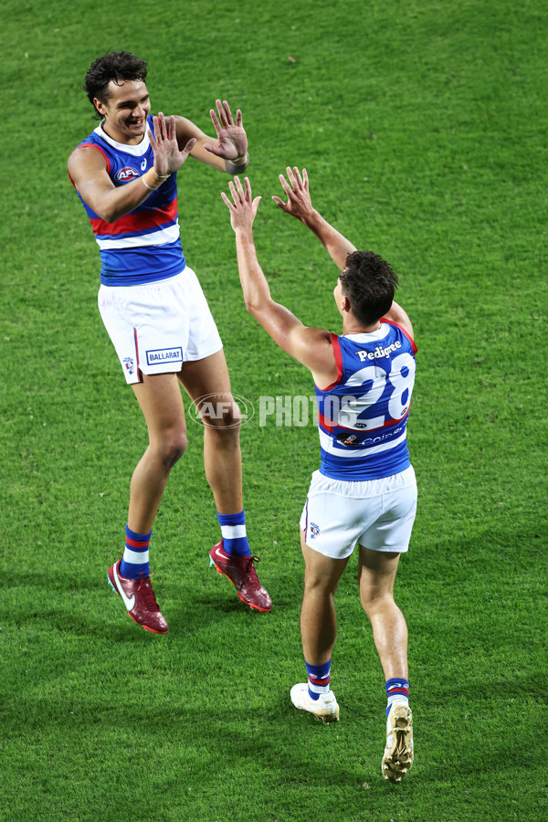 AFL Rd 8 - GWS v Western Bulldogs - A-1432130