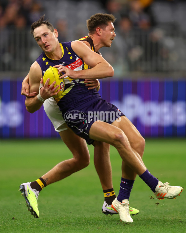 AFL Rd 8 - Fremantle v Hawthorn - A-1432152