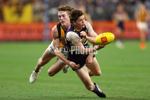 AFL Rd 8 - Fremantle v Hawthorn - A-1433445