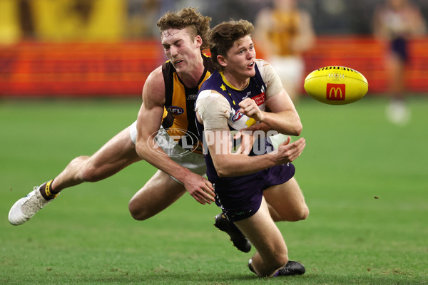 AFL Rd 8 - Fremantle v Hawthorn - A-1433451
