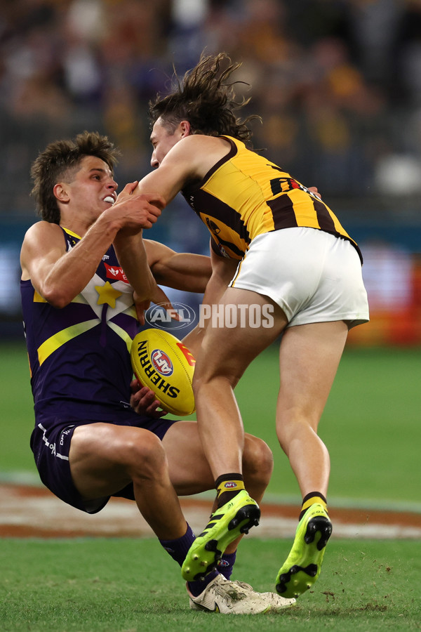 AFL Rd 8 - Fremantle v Hawthorn - A-1433459