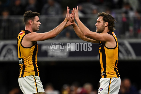 AFL Rd 8 - Fremantle v Hawthorn - A-1436575