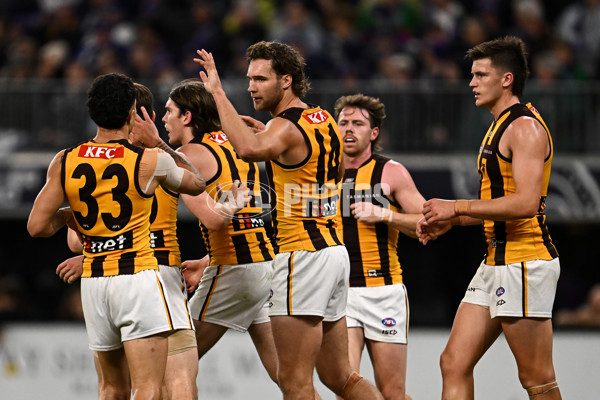 AFL Rd 8 - Fremantle v Hawthorn - A-1436580