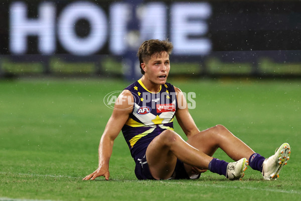 AFL Rd 8 - Fremantle v Hawthorn - A-1436613
