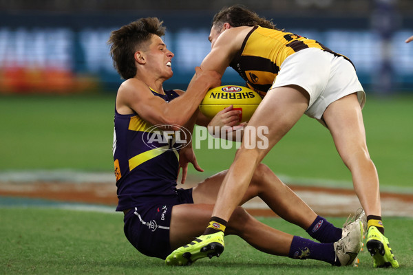 AFL Rd 8 - Fremantle v Hawthorn - A-1439740