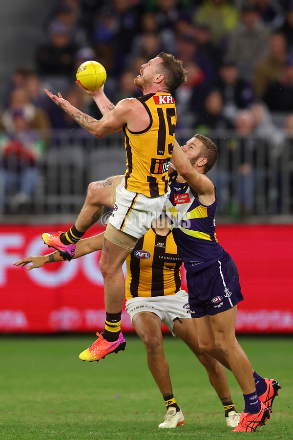 AFL Rd 8 - Fremantle v Hawthorn - A-1440287